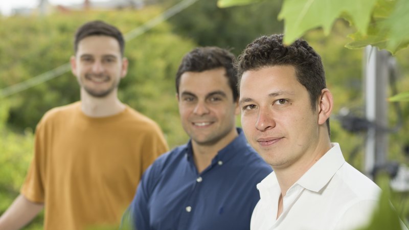 A $70 million illusion: Insights from Australia’s largest start-up failure.
 